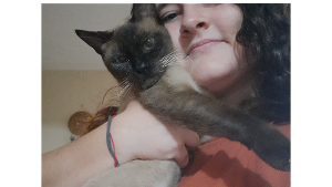 Lost Pet: Tonico