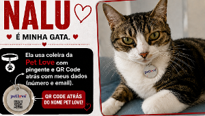 Lost Pet: Nalu Paixão