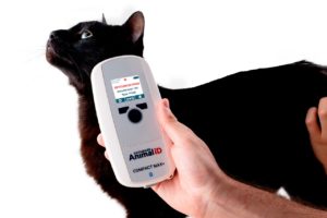 Um gato preto tendo seu chip lido pelo leitor Compact Max +